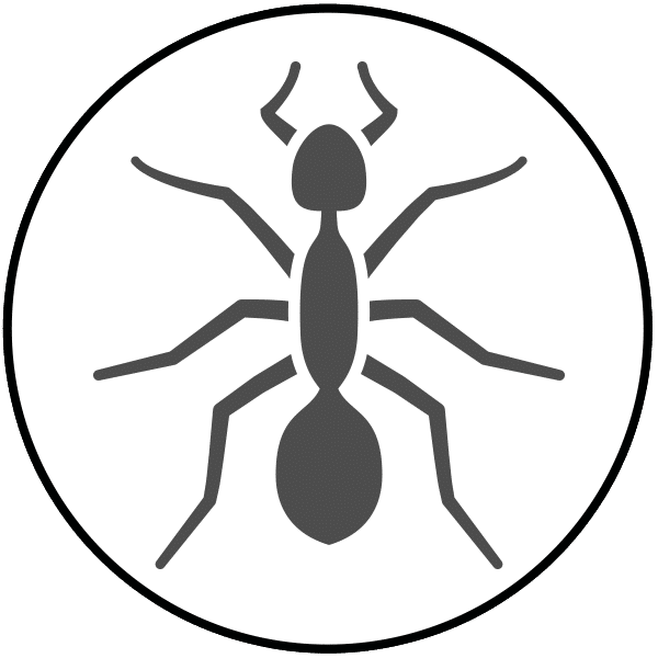 Information about Ants