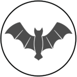Information about Bats