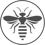 Information about Bees