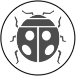 Information about Asian Lady Beetles