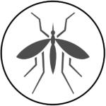 Information about Mosquitoes