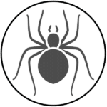 Information about Spiders