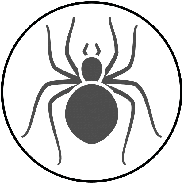 Information about Spiders