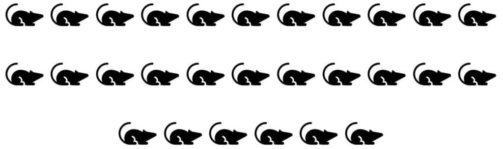 28 mice