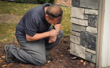 pest control technician using mirror to find entry points mice use to enter home