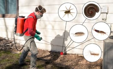 pest control technician treating exterior of house for spring moisture pests