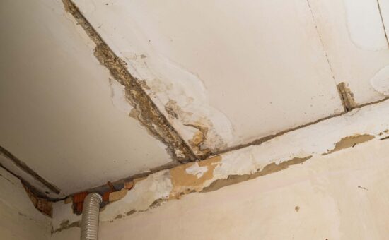 Moisture problems in the home with visible damage