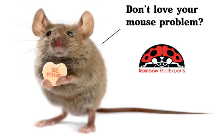 Don't love your mouse problem?