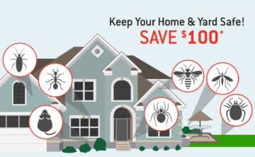 Save $110 on a pest protection plan