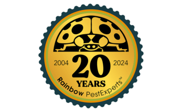 Celebrating 20 years