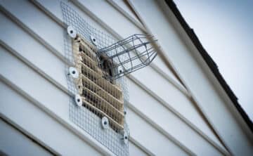 A way to trap Squirrels