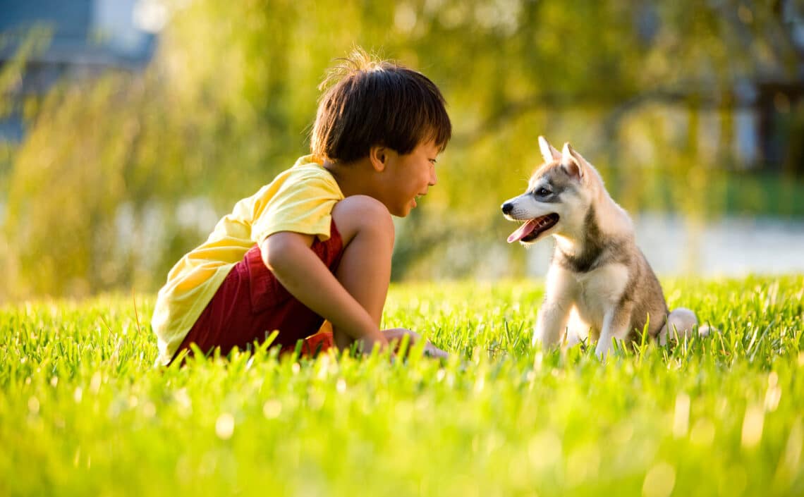 Boy with his dog