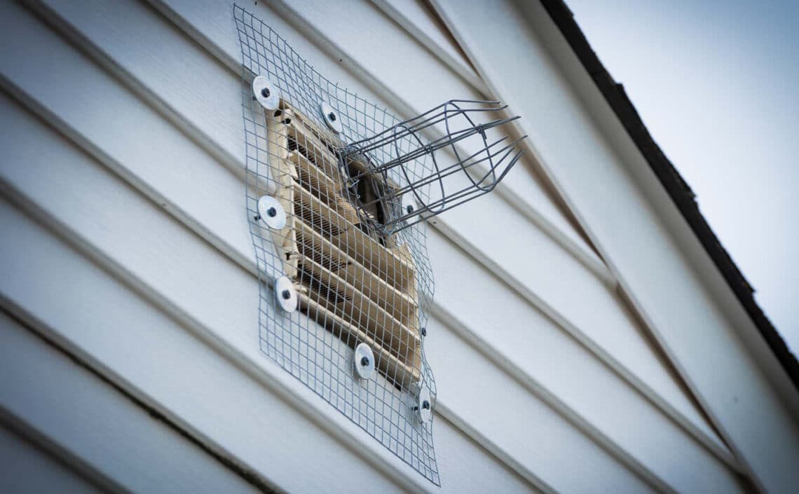 What Happens to Pests in the Winter?