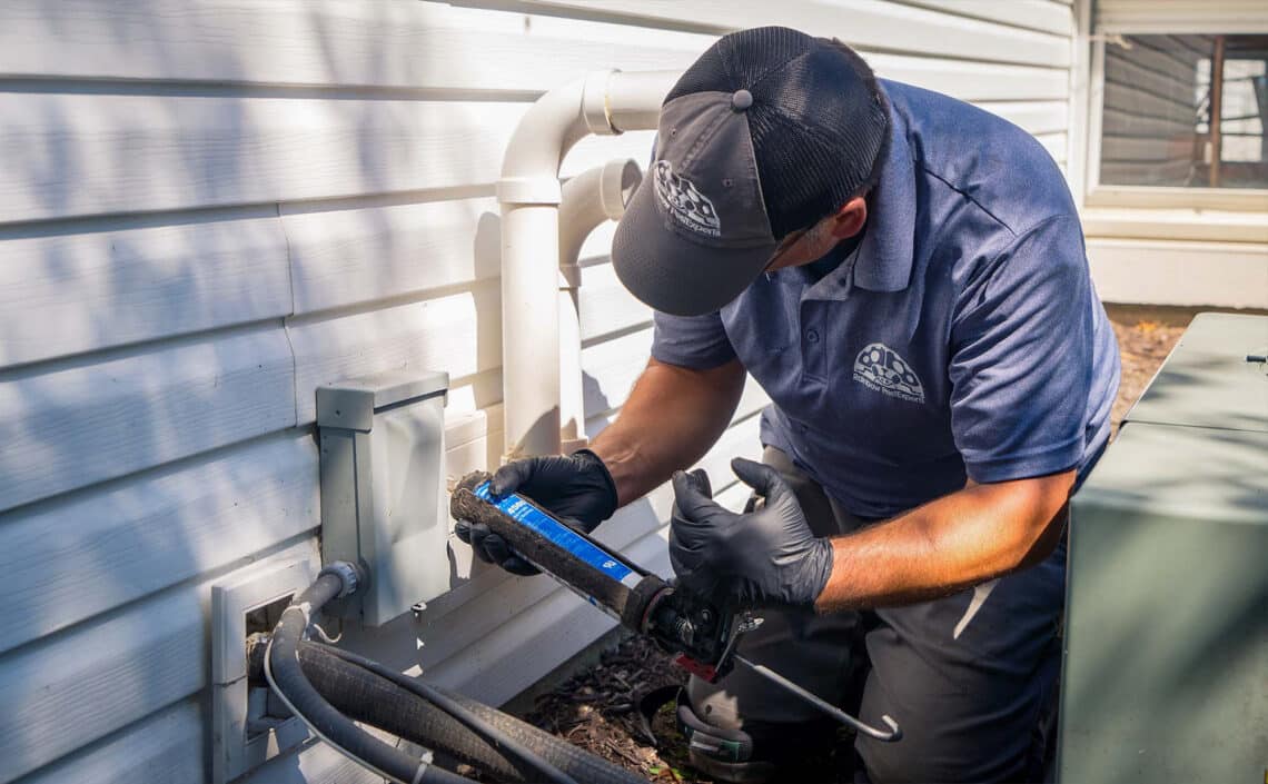 Why You Should Hire a Professional Pest Control Company