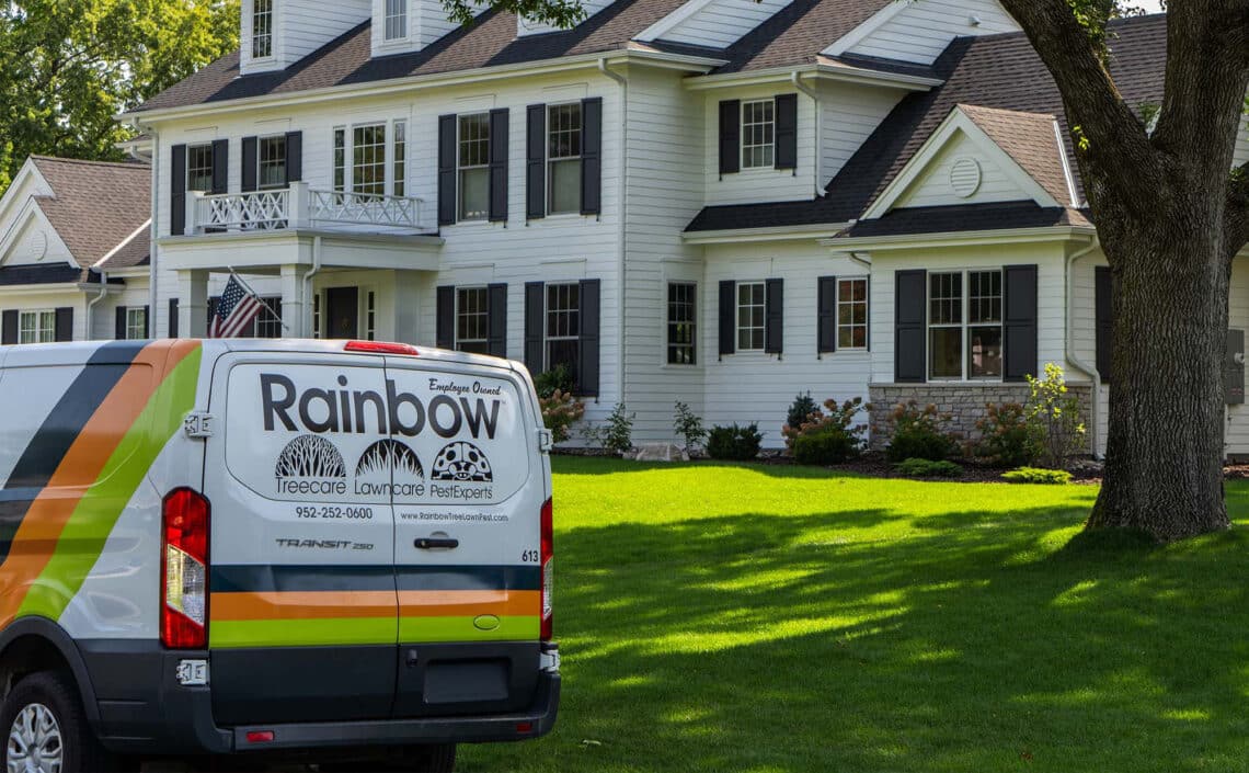 Why You Should Hire a Professional Pest Control Company