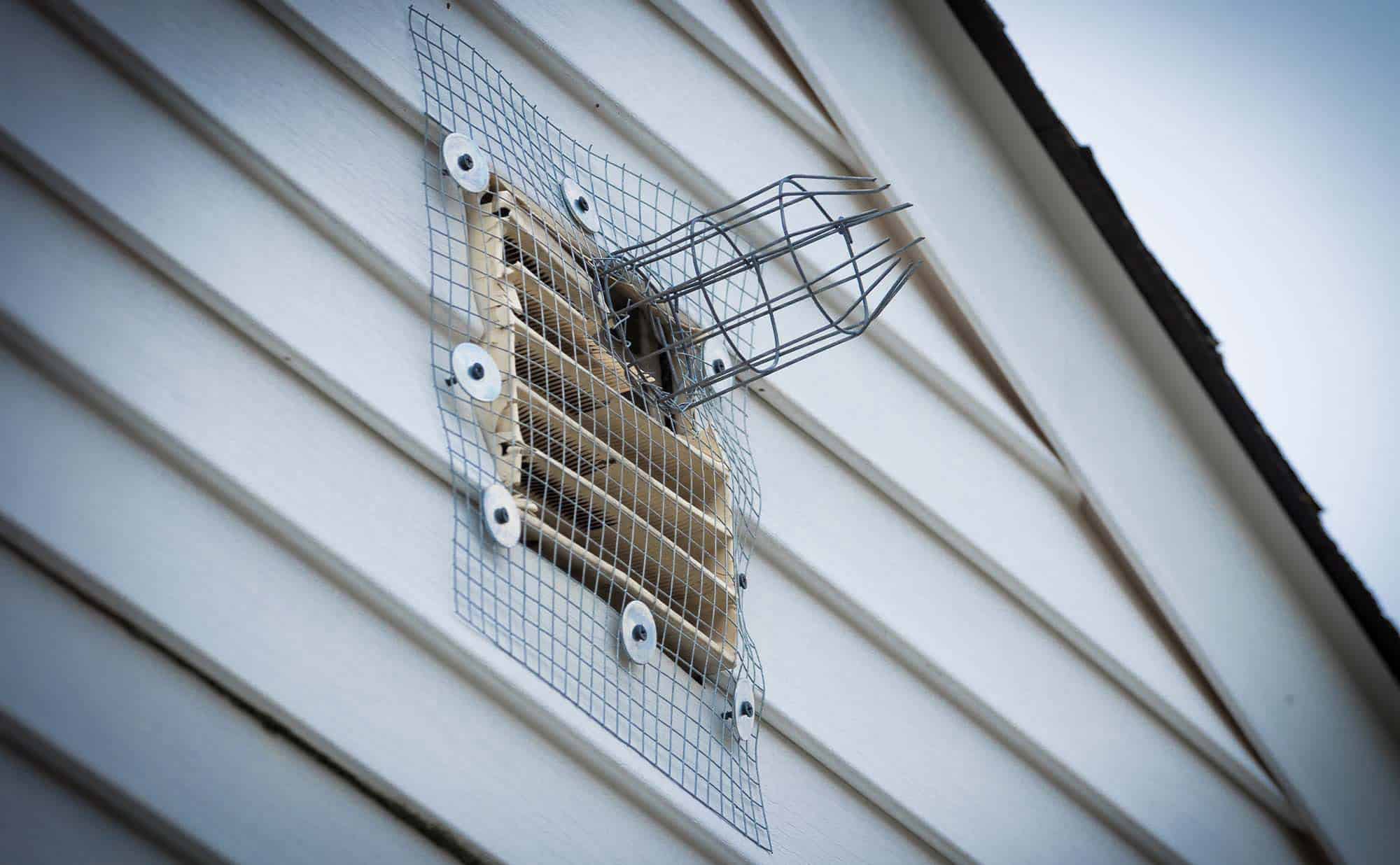 Is Eco-Friendly Pest Control Worthwhile?